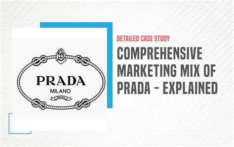 prada demographics|Prada market share.